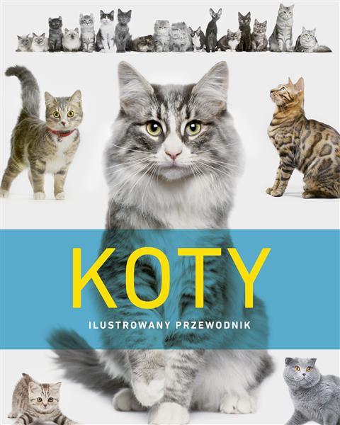 KOTY. ILUSTROWANY PRZEWODNIK