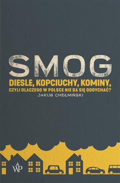 SMOG. DIESLE, KOPCIUCHY, KOMINY, CZYLI DLACZEGO?