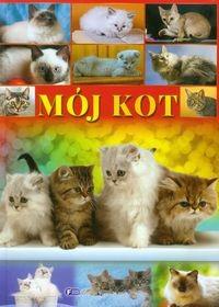 MÓJ KOT