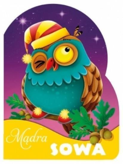 WYKROJNIK MĄDRA SOWA