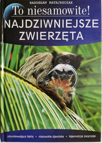 TO NIESAMOWITE! NAJDZIWNIEJSZE ZWIERZĘTA