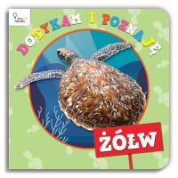 ŻÓŁW - DOTYKAM I POZNAJĘ