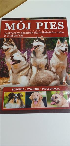 MÓJ PIES. FAKT