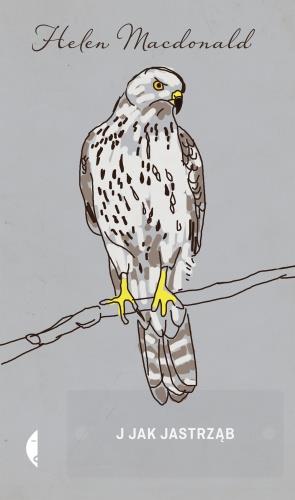 J JAK JASTRZĄB
