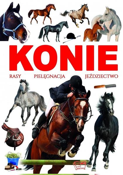 KONIE. RASY, PIELĘGNACJA, JEŹDZIECTWO