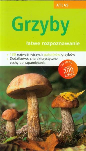 GRZYBY ŁATWE ROZPOZNAWANIE