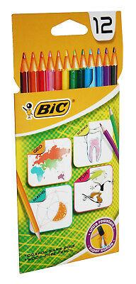 BIC ZESTAW 12 KREDEK