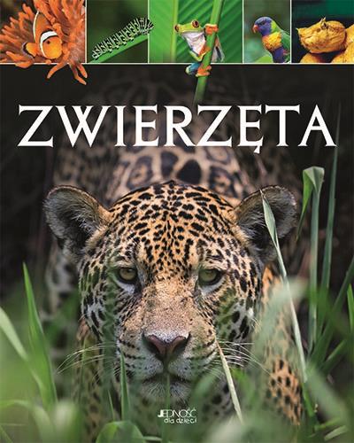 ZWIERZĘTA