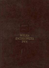 WIELKA ENCYKLOPEDIA PWN. TOM 2