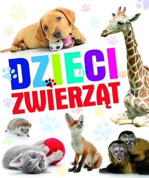 DZIECI ZWIERZĄT