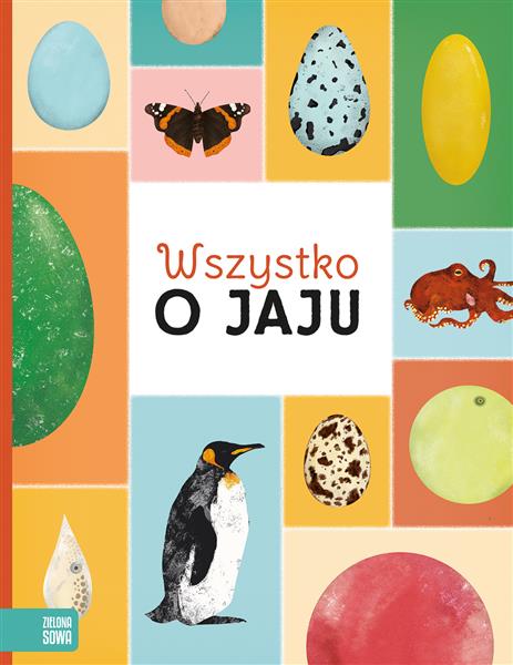WSZYSTKO O JAJU