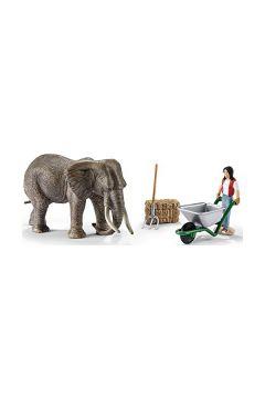 SCHLEICH ZESTAW DO PIELĘGNACJI SŁONI