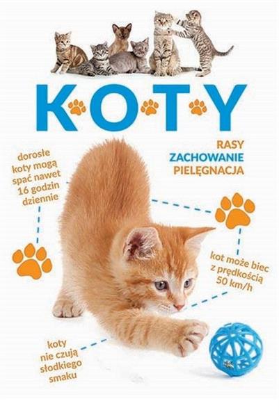 KOTY ZACHOWANIE PIELĘGNACJA