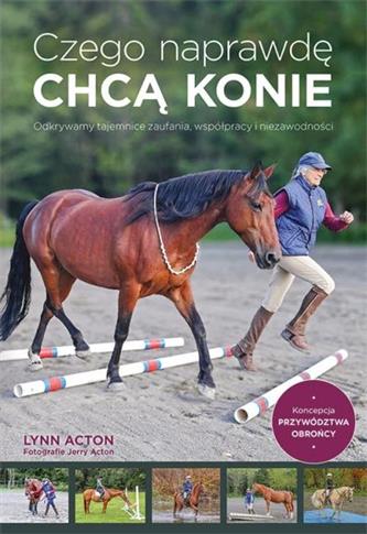 Czego naprawdę chcą konie. Odkrywamy tajemnice zau