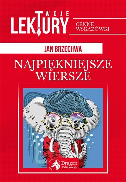 NAJPIĘKNIEJSZE WIERSZE TWOJE LEKTURY