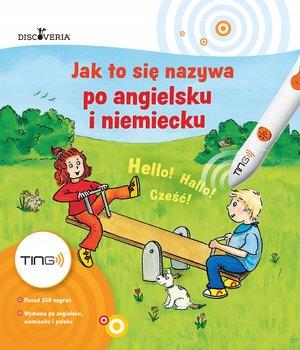 Ting. Jak to się nazywa po angielsku i niemiecku