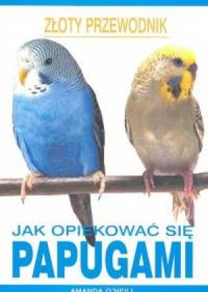 Jak opiekować się papugami