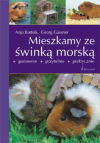MIESZKAMY ZE ŚWINKĄ MORSKĄ