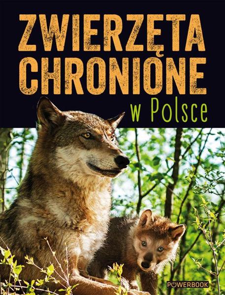 ZWIERZĘTA CHRONIONE W POLSCE