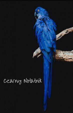 CZARNY NOTATNIK