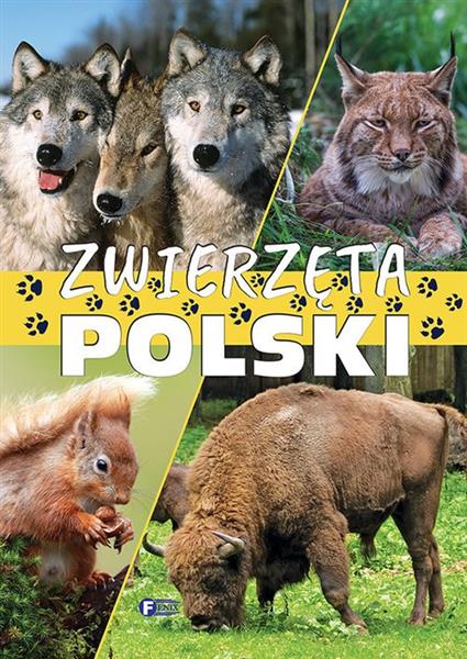 ZWIERZĘTA POLSKI TW FENIX