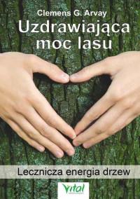 UZDRAWIAJĄCA MOC LASU LECZNICZA ENERGIA...
