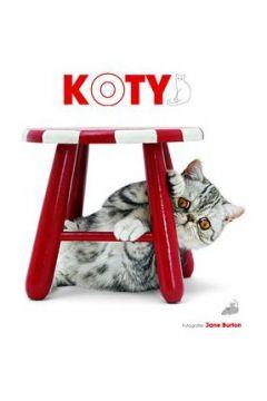 Koty