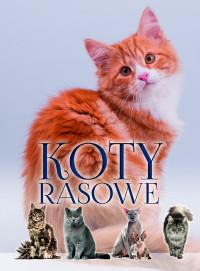 KOTY RASOWE