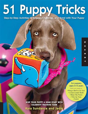 51 Puppy Tricks