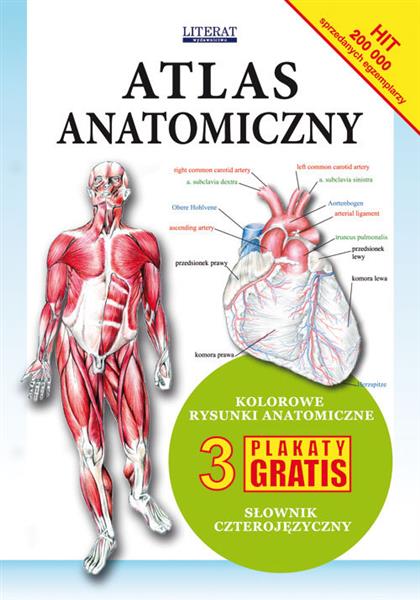 ATLAS ANATOMICZNY