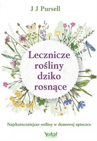Lecznicze rośliny dziko rosnące