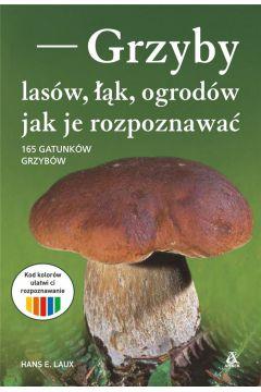 GRZYBY LASÓW, ŁĄK, OGRODÓW - JAK JE ROZPOZNAWAĆ