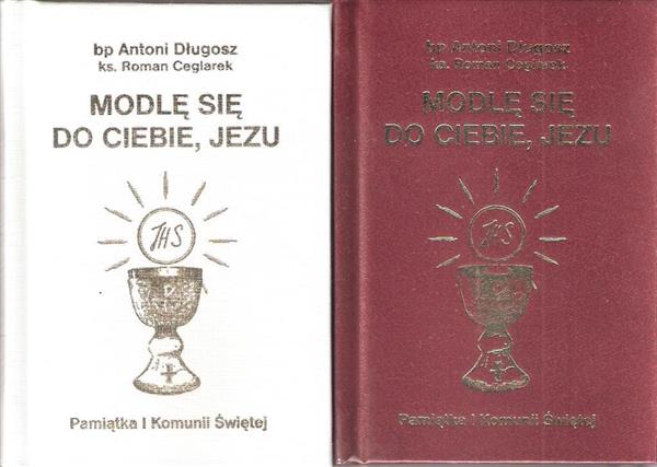 MODLĘ SIĘ DO CIEBIE JEZU