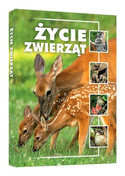 ŻYCIE ZWIERZĄT
