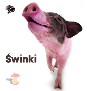 ŚWINKI