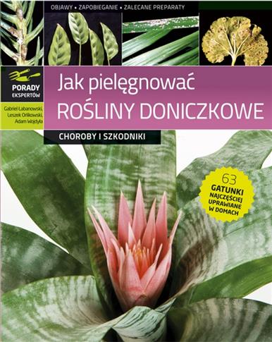 Jak pielęgnować rośliny doniczkowe