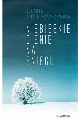 Niebieskie cienie na śniegu