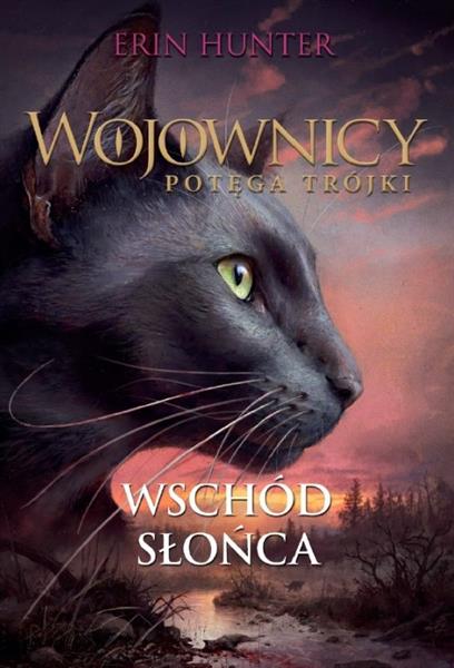 WOJOWNICY. WSCHÓD SŁOŃCA. POTĘGA TRÓJKI