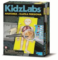 ANATOMIA KLATKA PIERSIOWA