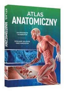 EDU ATLAS ANATOMICZNY