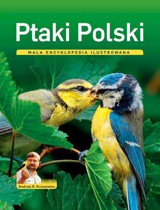 PTAKI POLSKI MAŁA ENCYKLOPEDIA ILUSTROWANA