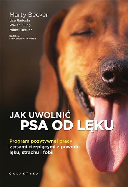JAK UWOLNIĆ PSA OD LĘKU. PROGRAM POZYTYWNEJ PRACY