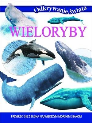 WIELORYBY. ODKRYWANIE ŚWIATA