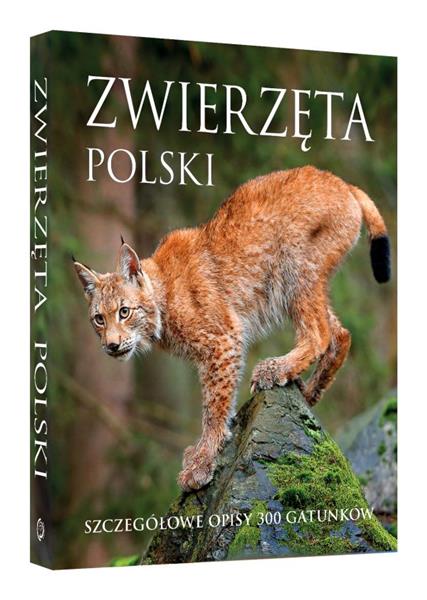 ZWIERZĘTA POLSKI