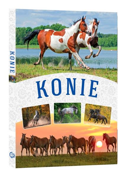 KONIE