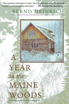 A YEAR IN THE MAINE WOODS