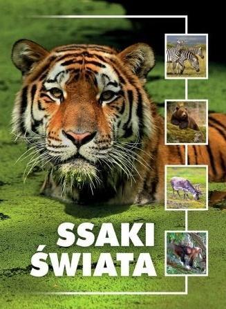 SSAKI ŚWIATA