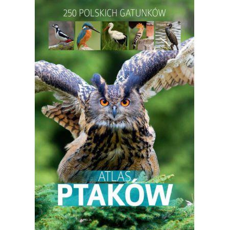 ATLAS PTAKÓW. 250 POLSKICH GATUNKÓW