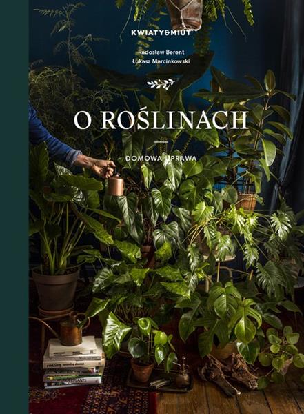 O ROŚLINACH DOMOWA UPRAWA