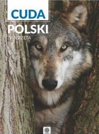 ZWIERZĘTA CUDA POLSKI